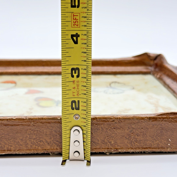 Vintage Antique Pressed Real Butterfly Tray Framed Botanicals 14.5" x 11" - Picture 16 of 16